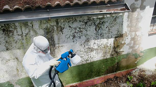 Trusted Mold Testing service in Troutdale, OR - Cheap Mold Removal